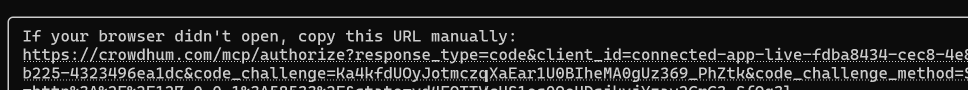 CLI fallback message showing a copyable authorization URL to open manually